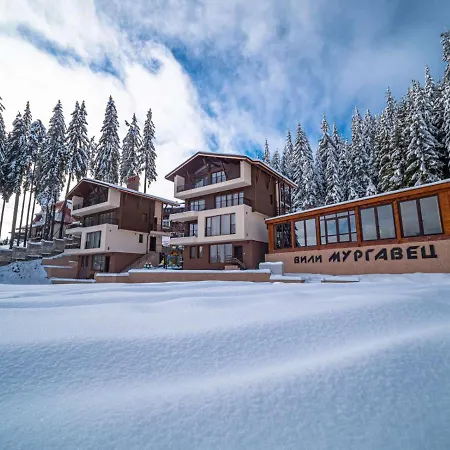 Boutique Murgavets Апарт-отель Пампорово