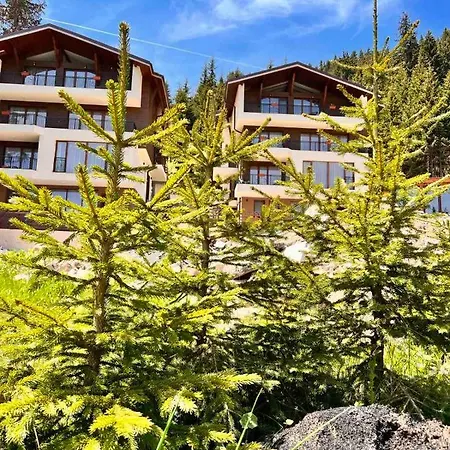 Boutique Murgavets Aparthotel Pamporovo