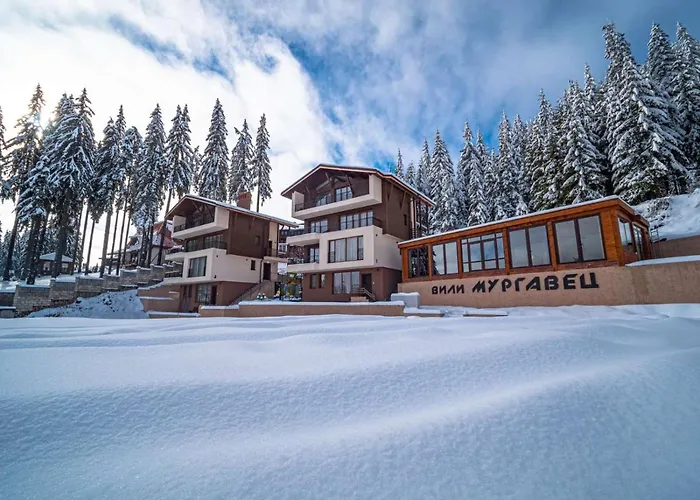 Boutique Murgavets Апарт-отель Пампорово