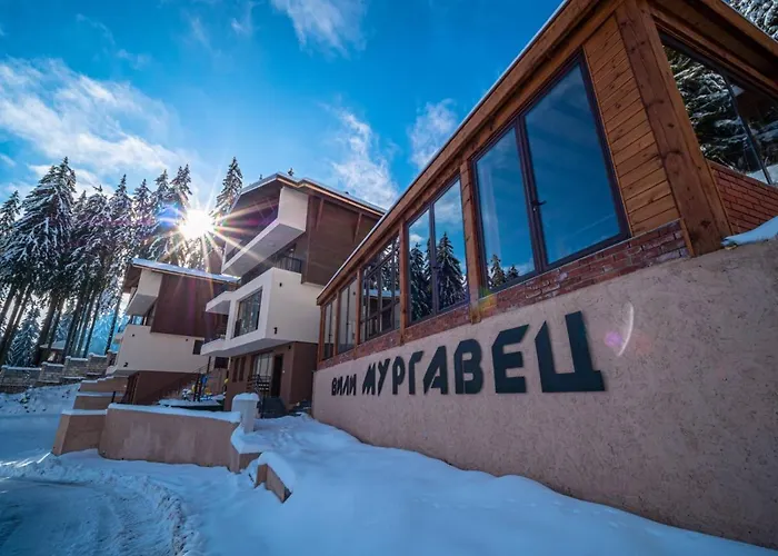 Boutique Murgavets Апарт-отель Пампорово