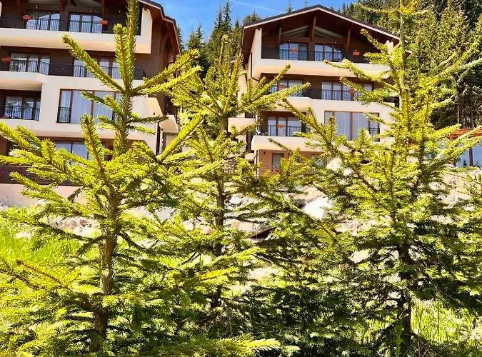 Boutique Murgavets Апарт-отель Пампорово